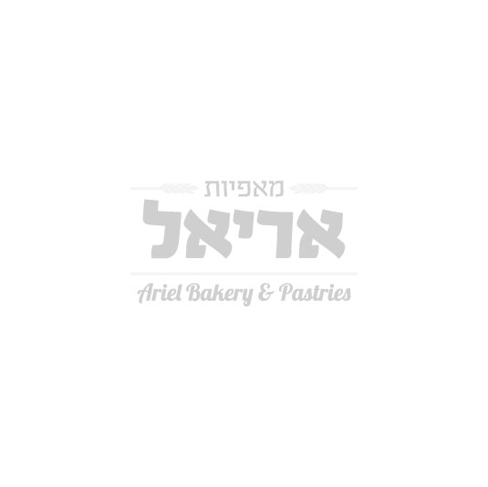 logo ariel vectory